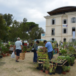 jardin d'automne