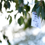 jardin d'automne