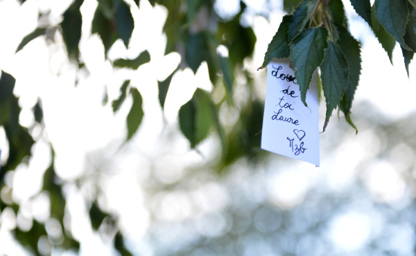 jardin d'automne