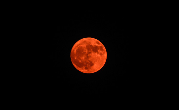 DSC_1133