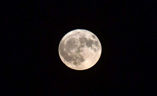 _LMN5641