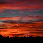 LMN_0638