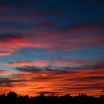 LMN_0648