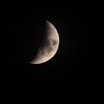 LMN_0674