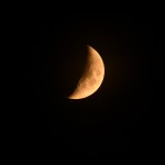 LMN_0675